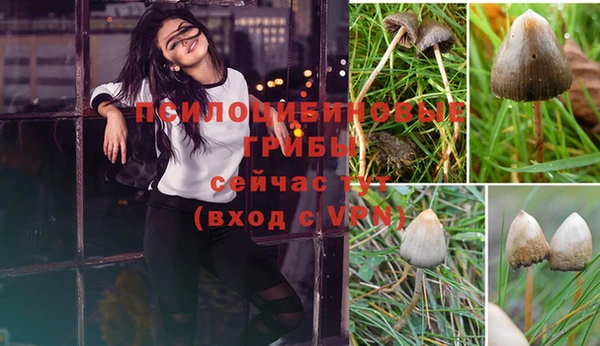 соль курить ск Арсеньев