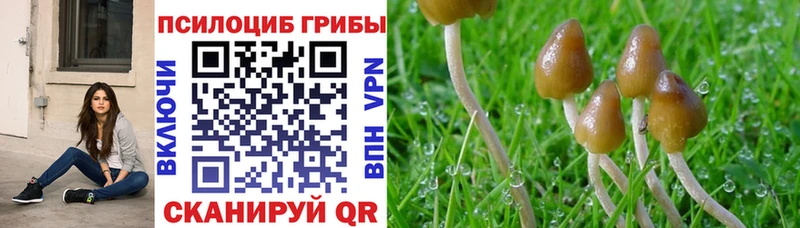 Псилоцибиновые грибы прущие грибы  нарко площадка наркотические препараты  Полярные Зори 